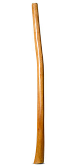 Gloss Finish Flared Didgeridoo (TW1413)